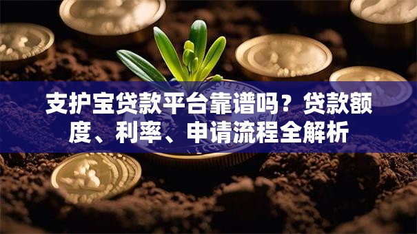 支护宝贷款平台靠谱吗？贷款额度、利率、申请流程全解析