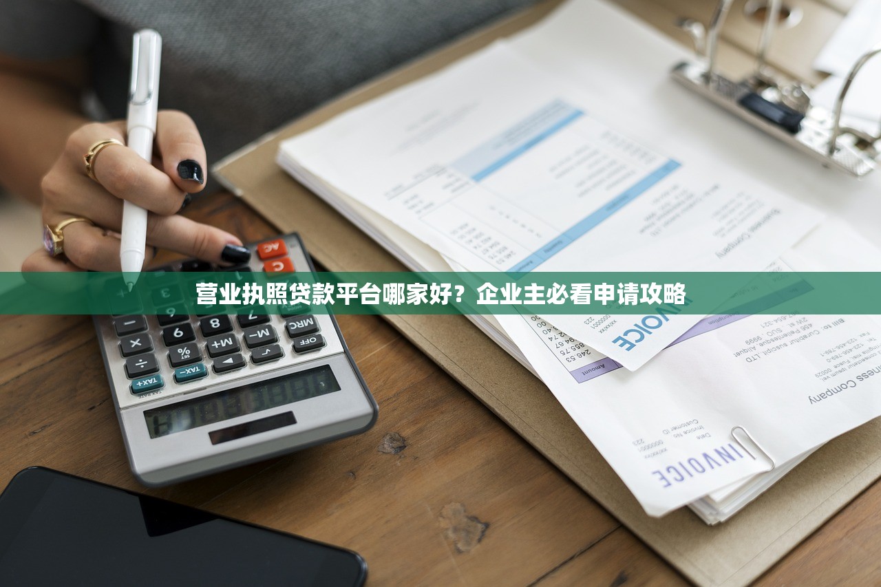 营业执照贷款平台哪家好？企业主必看申请攻略