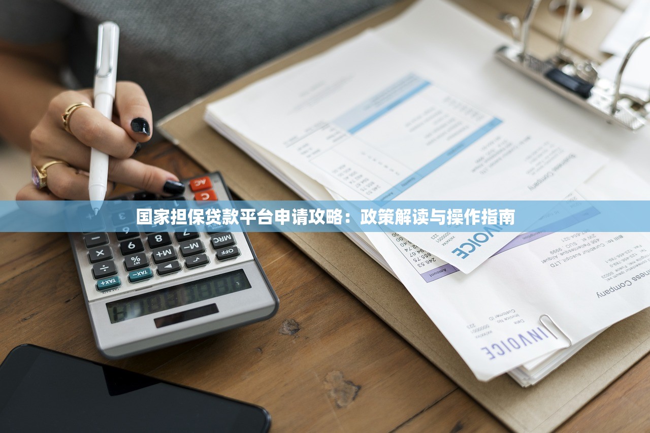 国家担保贷款平台申请攻略：政策解读与操作指南