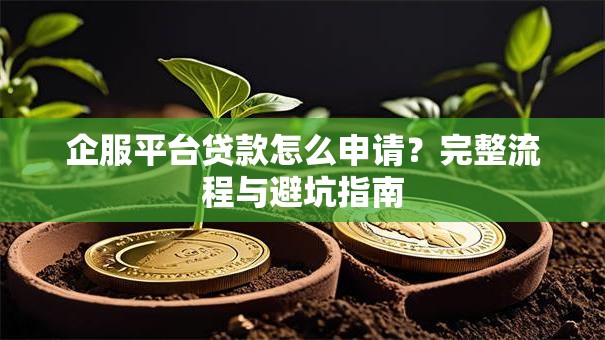 企服平台贷款怎么申请？完整流程与避坑指南