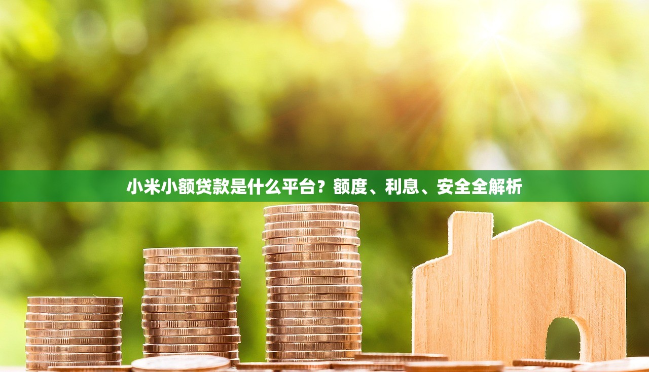 小米小额贷款是什么平台？额度、利息、安全全解析