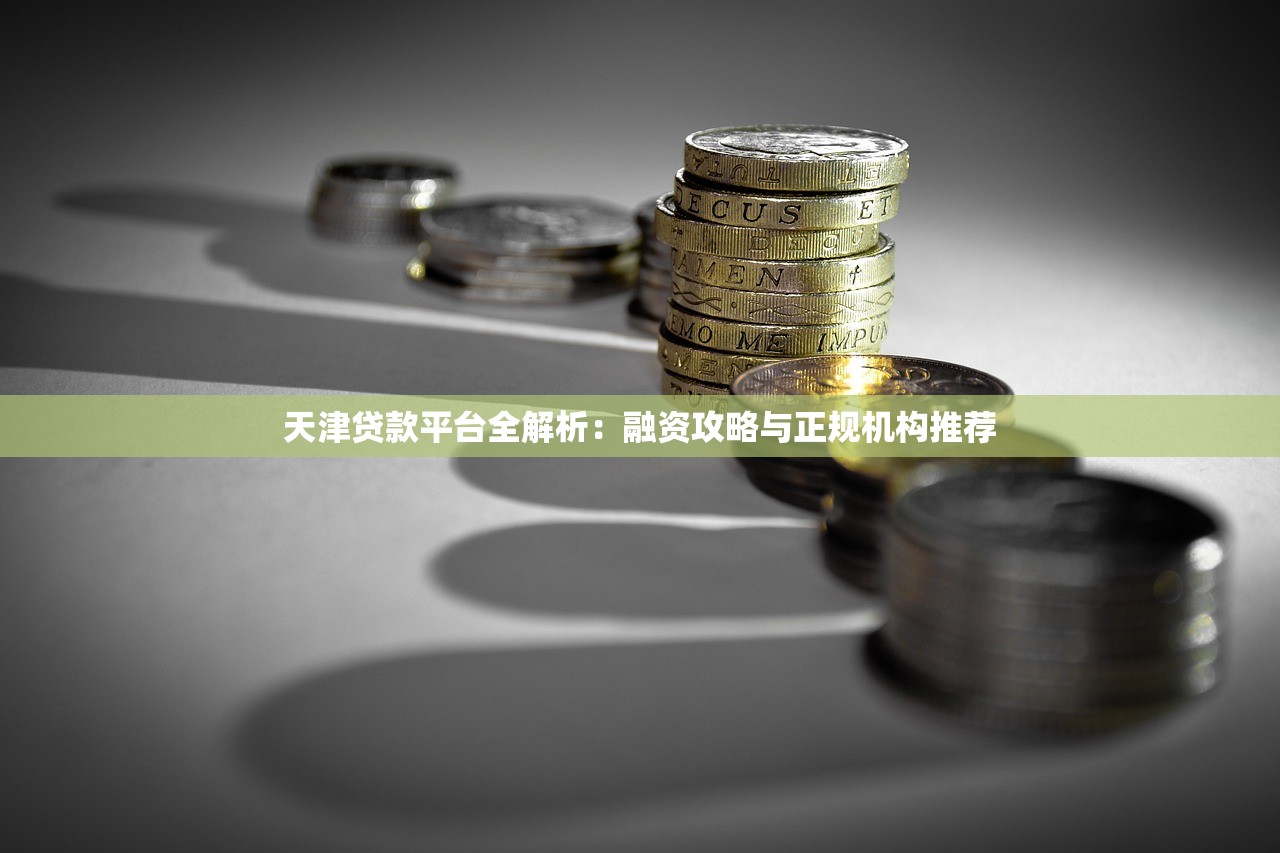 天津贷款平台全解析：融资攻略与正规机构推荐