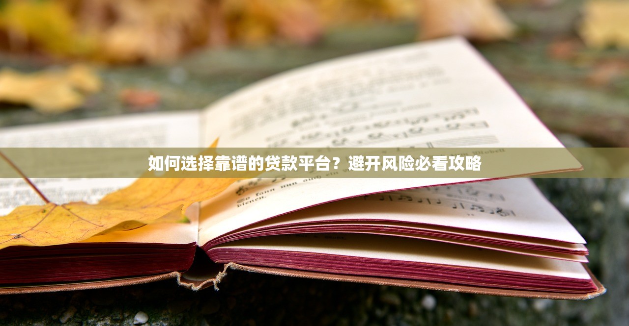 如何选择靠谱的贷款平台？避开风险必看攻略