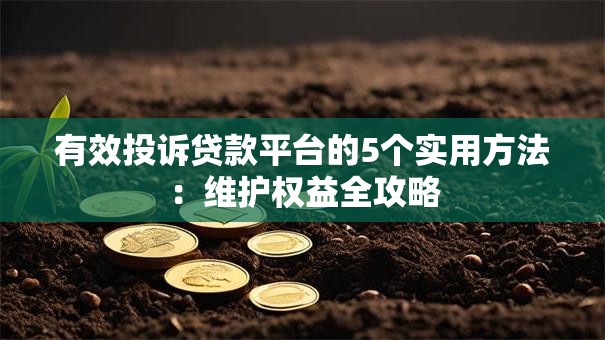 有效投诉贷款平台的5个实用方法:维护权益全攻略 有效投诉贷款平台的5个实用方法:维护权益全攻略