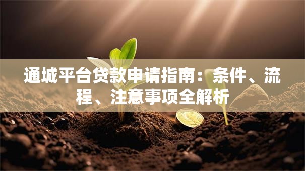 通城平台贷款申请指南:条件、流程、注意事项全解析 通城平台贷款申请指南:条件、流程、注意事项全解析