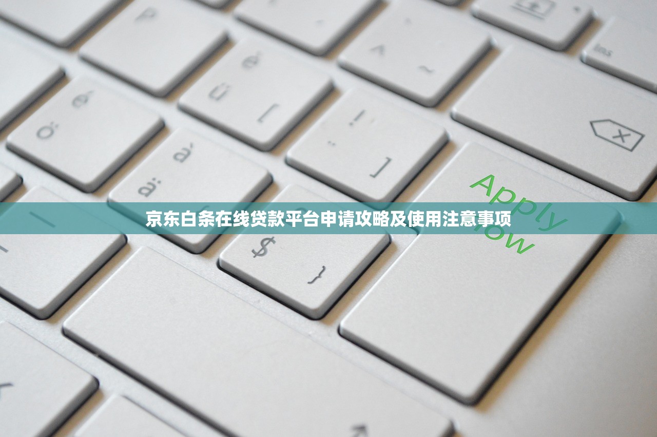 京东白条在线贷款平台申请攻略及使用注意事项