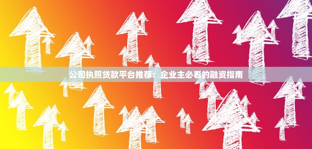 公司执照贷款平台推荐：企业主必看的融资指南
