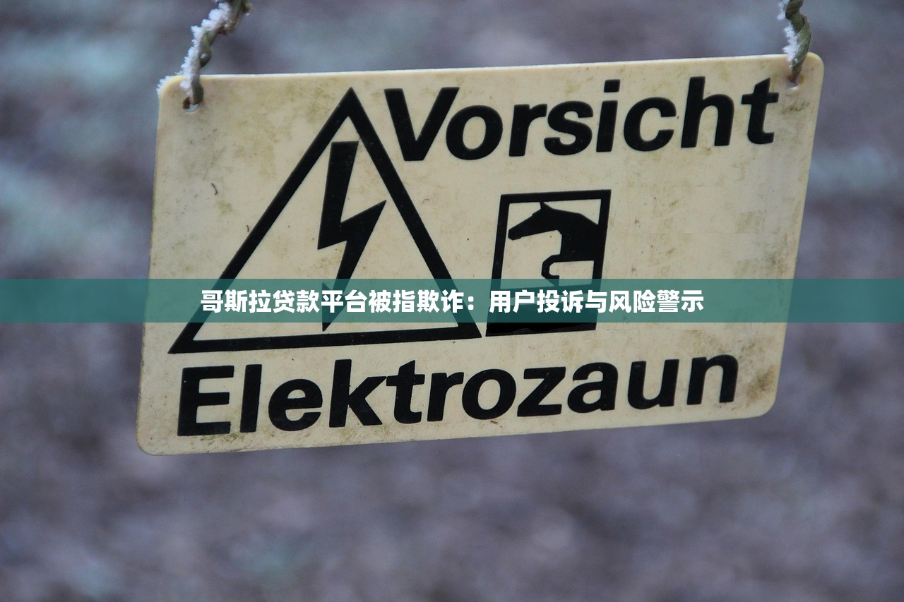 哥斯拉贷款平台被指欺诈：用户投诉与风险警示