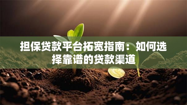 担保贷款平台拓宽指南：如何选择靠谱的贷款渠道