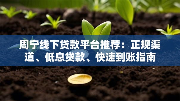 周宁线下贷款平台推荐：正规渠道、低息贷款、快速到账指南