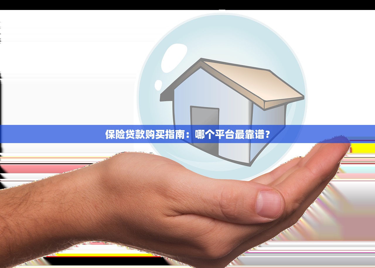 保险贷款购买指南：哪个平台最靠谱？