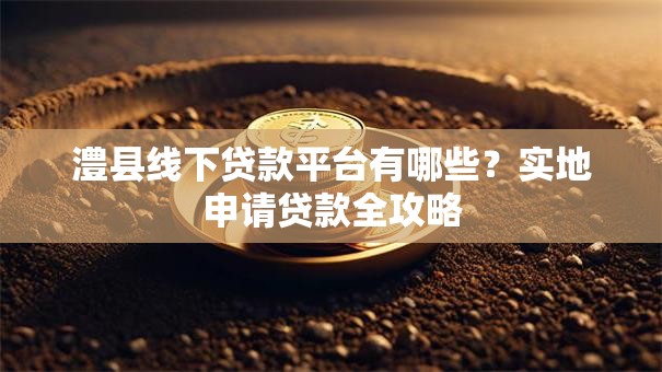 澧县线下贷款平台有哪些？实地申请贷款全攻略