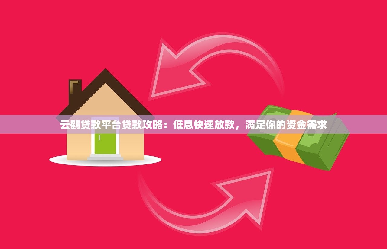 云鹤贷款平台贷款攻略：低息快速放款，满足你的资金需求