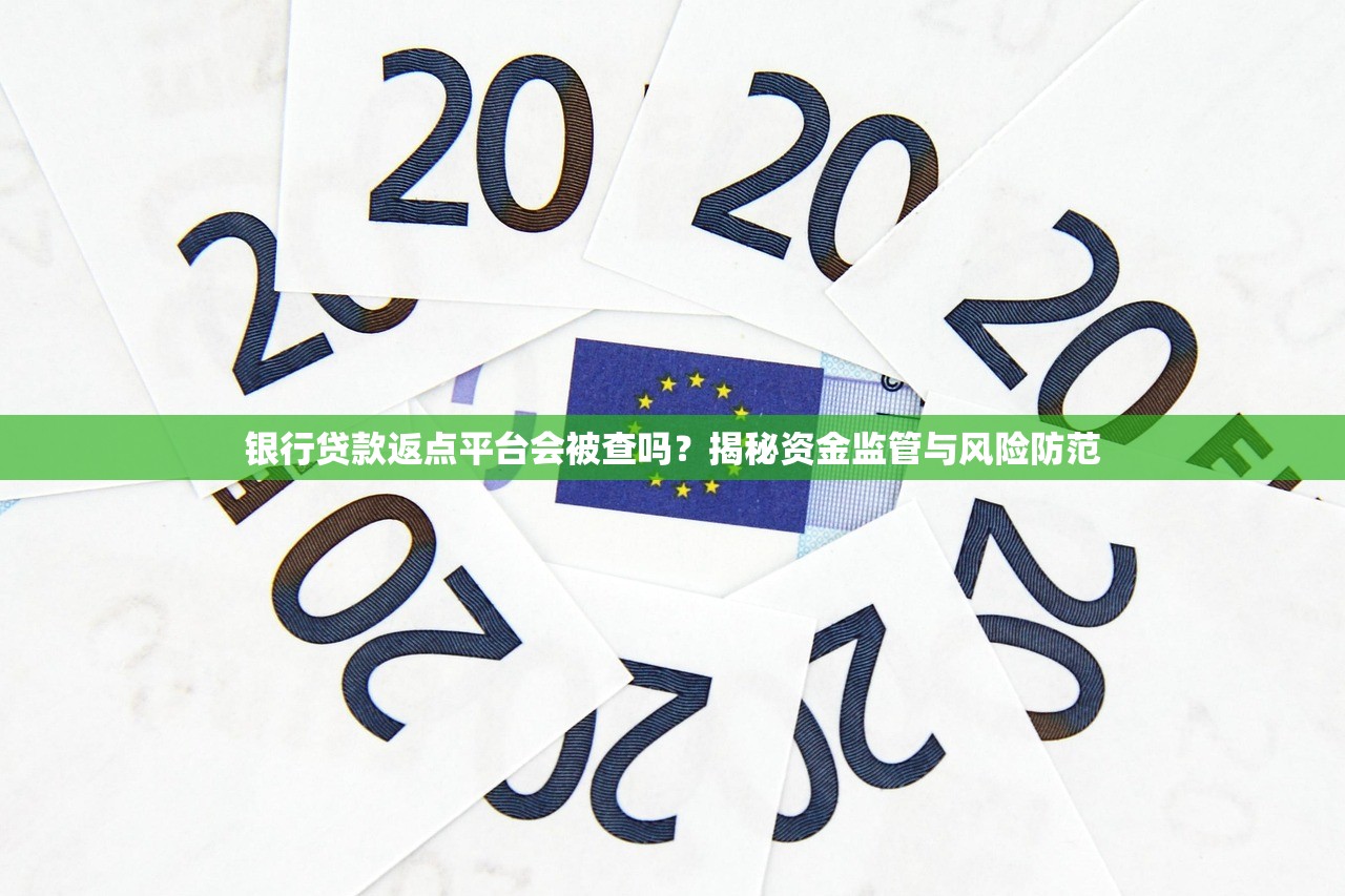 银行贷款返点平台会被查吗？揭秘资金监管与风险防范