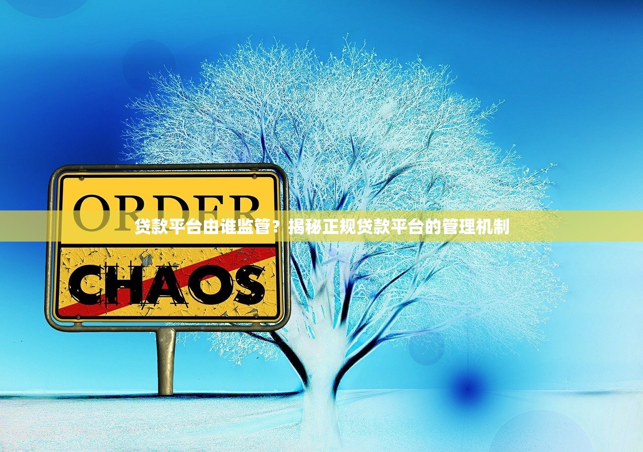贷款平台由谁监管?揭秘正规贷款平台的管理机制 贷款平台由谁监管?揭秘正规贷款平台的管理机制