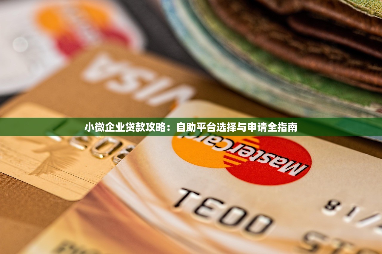 小微企业贷款攻略：自助平台选择与申请全指南