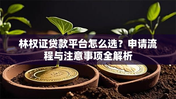 林权证贷款平台怎么选?申请流程与注意事项全解析 林权证贷款平台怎么选?申请流程与注意事项全解析