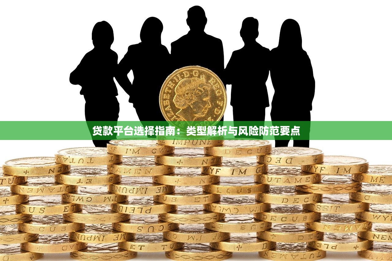 贷款平台选择指南：类型解析与风险防范要点