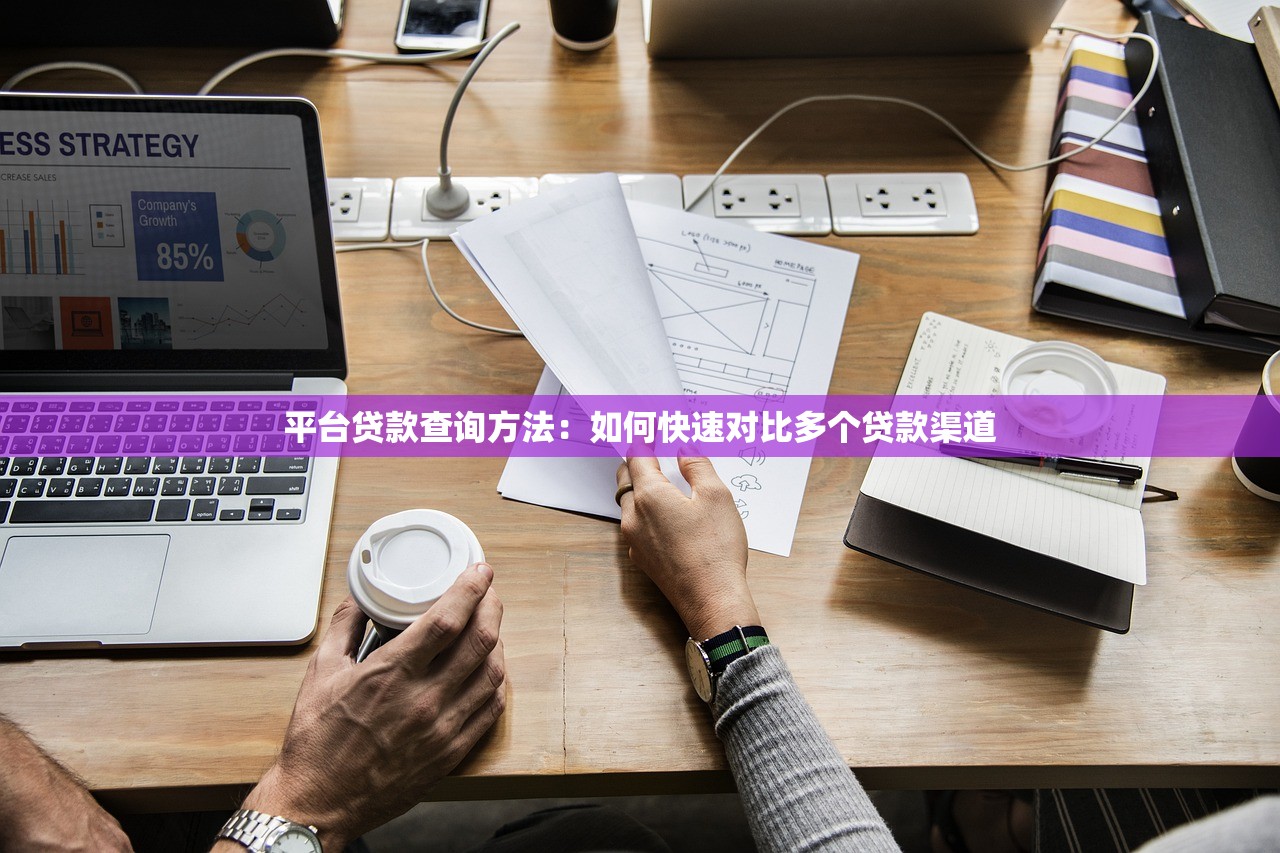 平台贷款查询方法：如何快速对比多个贷款渠道