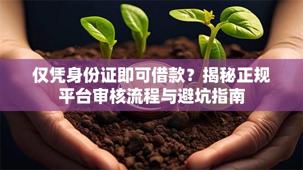 仅凭身份证即可借款？揭秘正规平台审核流程与避坑指南