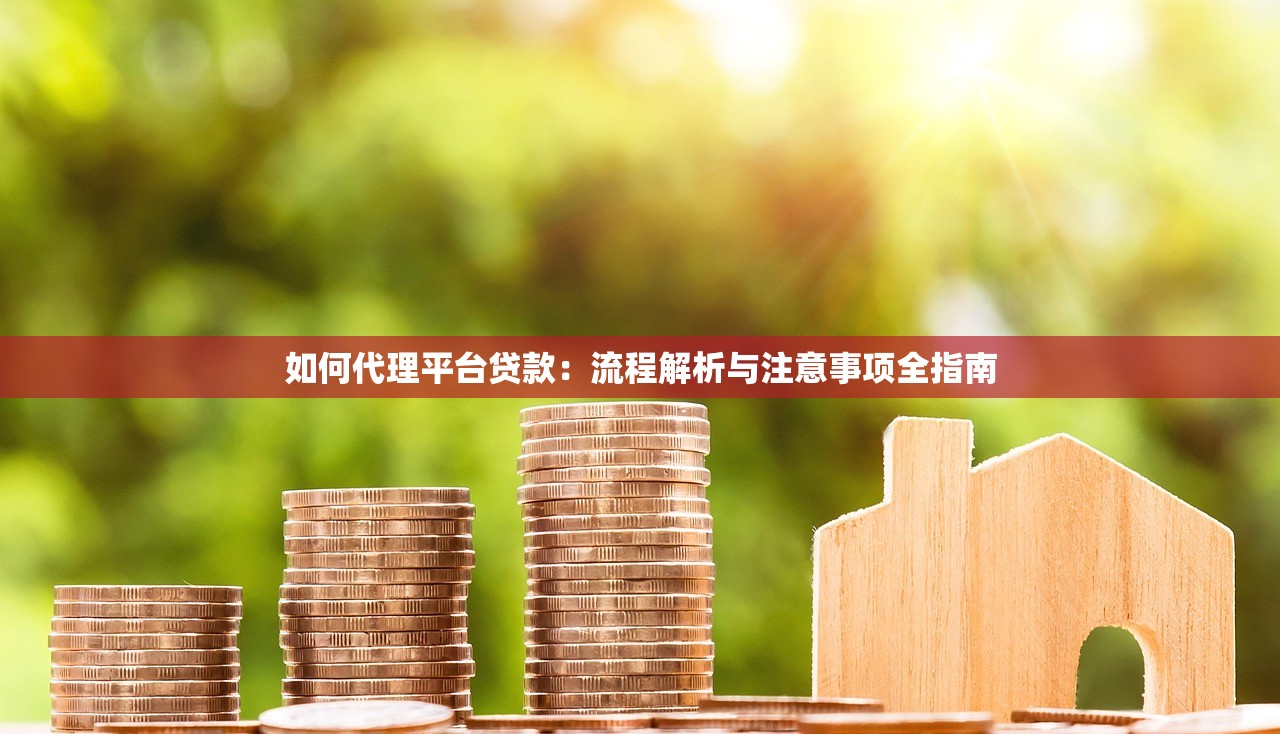 如何代理平台贷款：流程解析与注意事项全指南