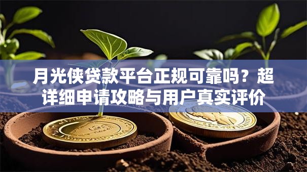 月光侠贷款平台正规可靠吗？超详细申请攻略与用户真实评价