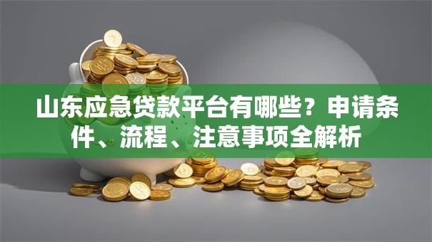 山东应急贷款平台有哪些?申请条件、流程、注意事项全解析 山东应急贷款平台有哪些?申请条件、流程、注意事项全解析