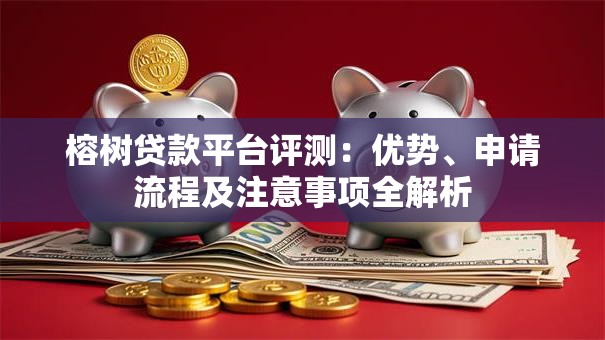 榕树贷款平台评测：优势、申请流程及注意事项全解析