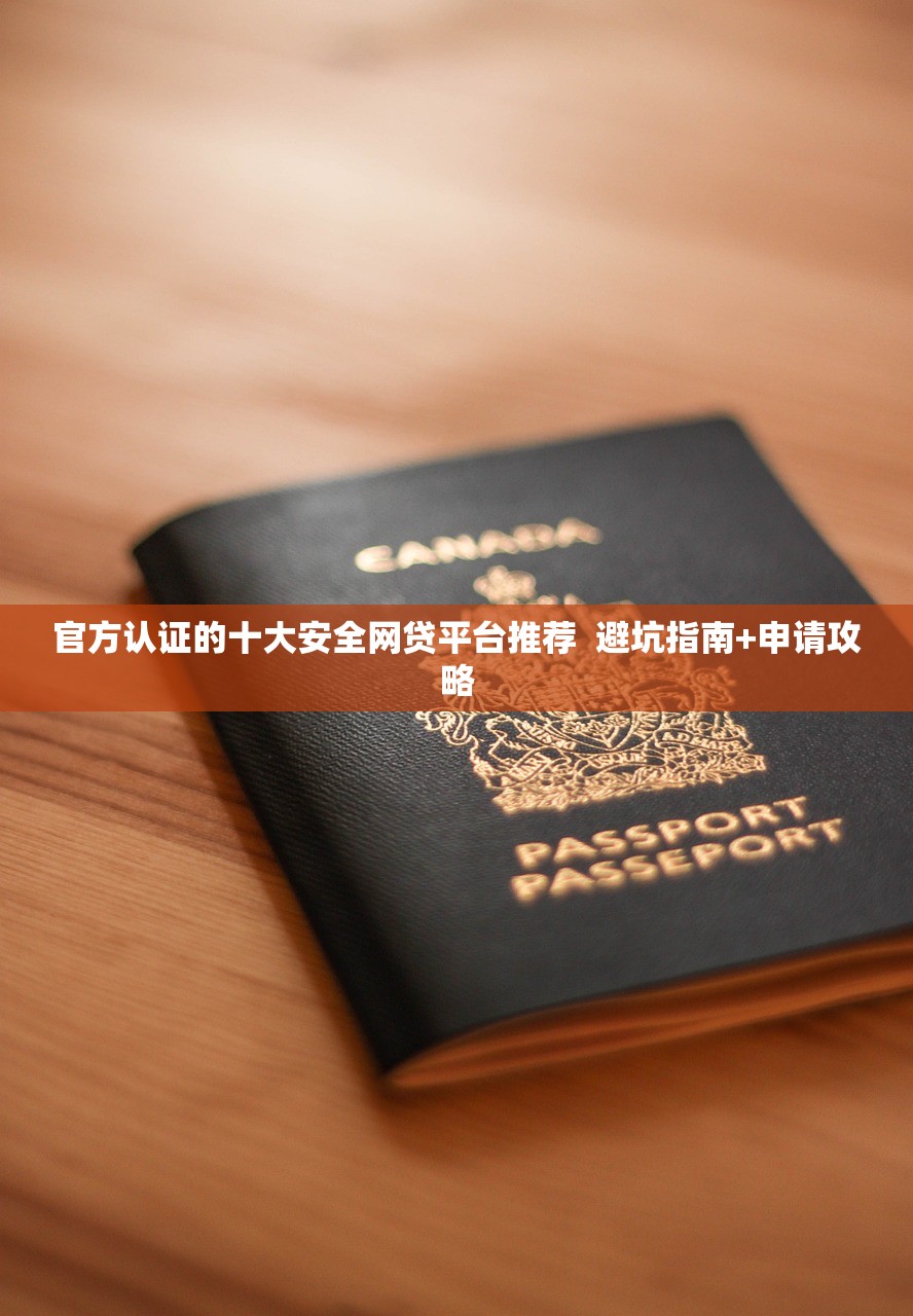 官方认证的十大安全网贷平台推荐  避坑指南+申请攻略