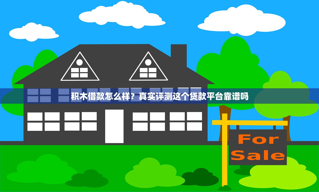 积木借款怎么样？真实评测这个贷款平台靠谱吗