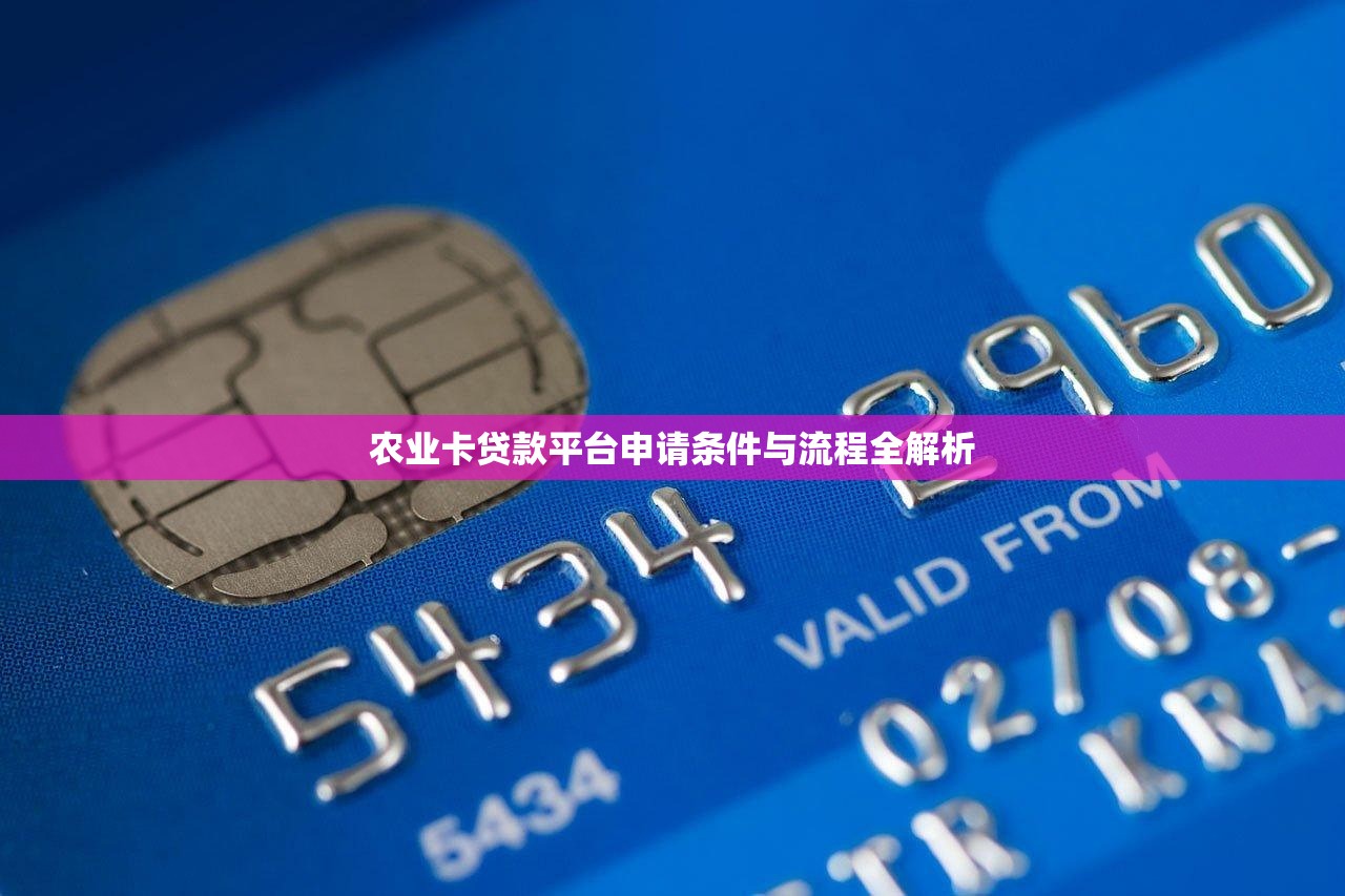 农业卡贷款平台申请条件与流程全解析