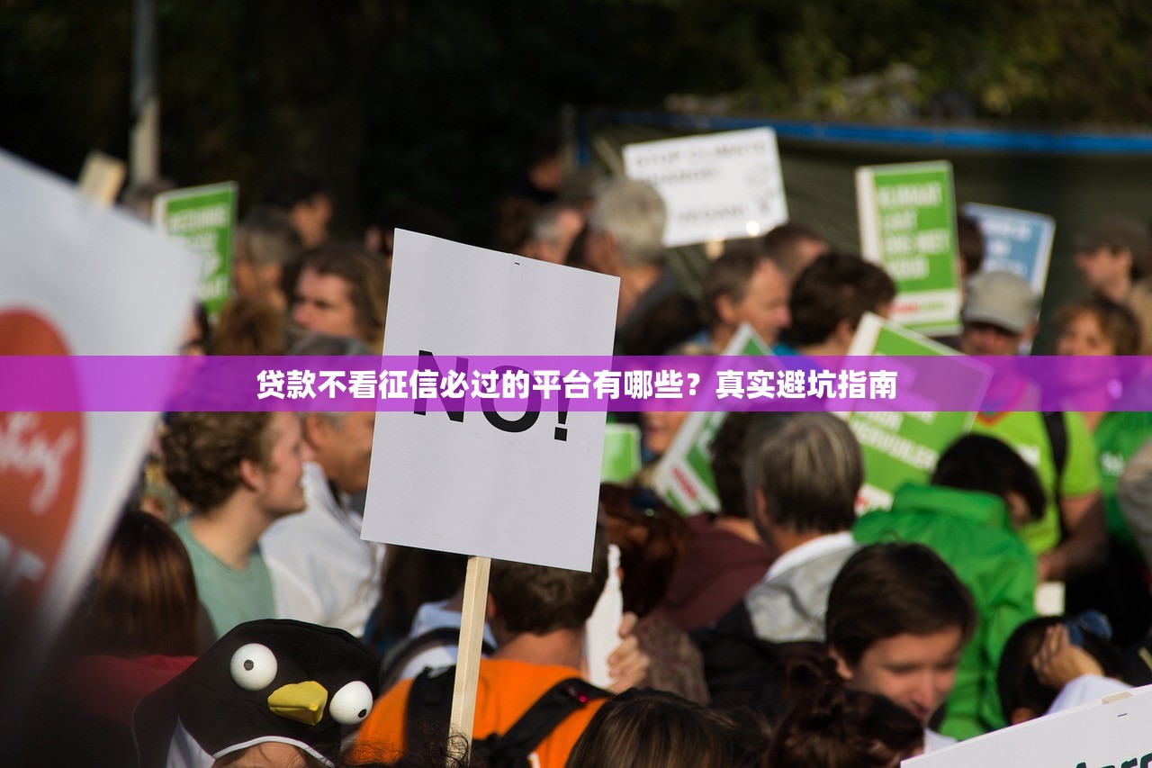 贷款不看征信必过的平台有哪些?真实避坑指南 贷款不看征信必过的平台有哪些?真实避坑指南