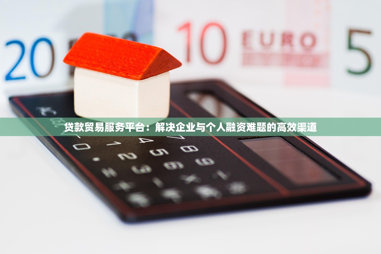 贷款贸易服务平台：解决企业与个人融资难题的高效渠道