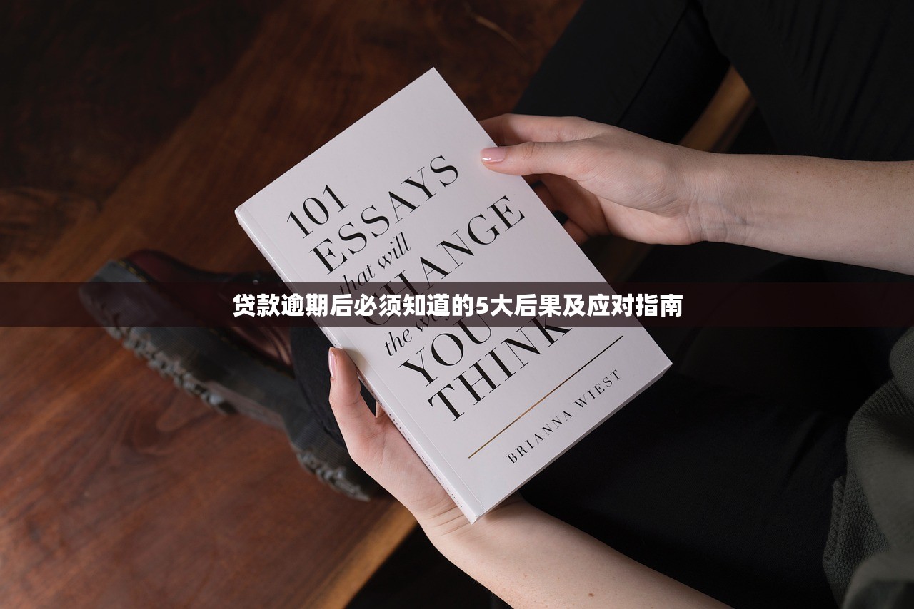 贷款逾期后必须知道的5大后果及应对指南