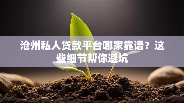 沧州私人贷款平台哪家靠谱？这些细节帮你避坑