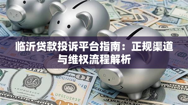 临沂贷款投诉平台指南：正规渠道与维权流程解析