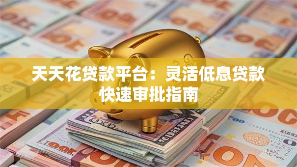 天天花贷款平台：灵活低息贷款快速审批指南