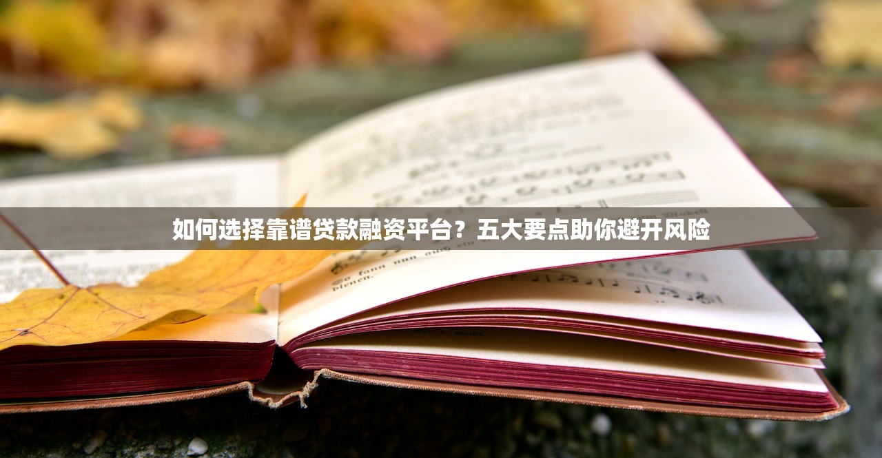 如何选择靠谱贷款融资平台?五大要点助你避开风险 如何选择靠谱贷款融资平台?五大要点助你避开风险