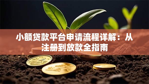小额贷款平台申请流程详解:从注册到放款全指南 小额贷款平台申请流程详解:从注册到放款全指南