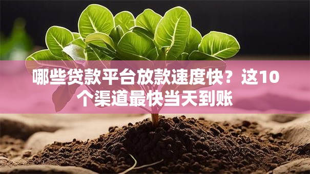 哪些贷款平台放款速度快？这10个渠道最快当天到账