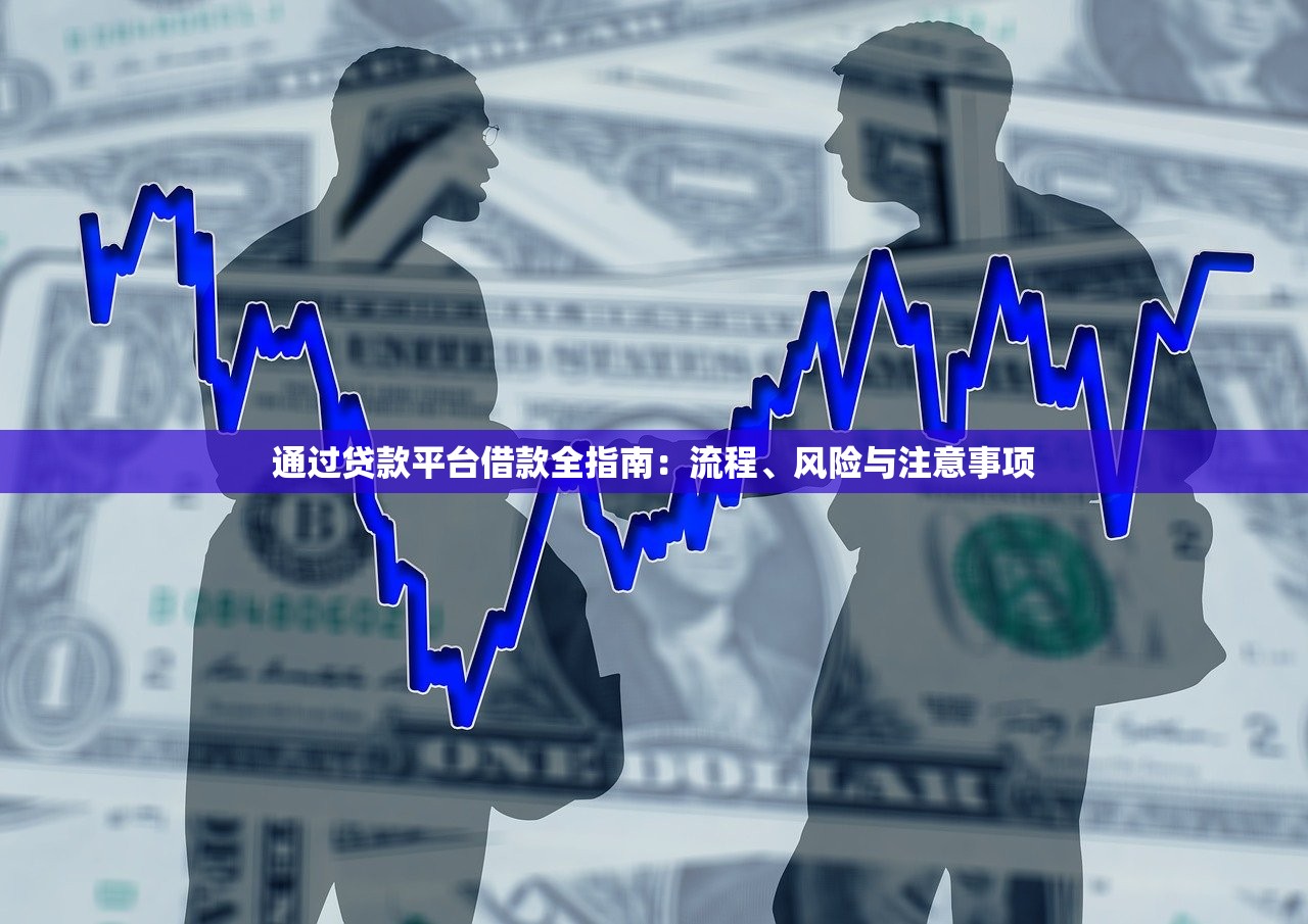 通过贷款平台借款全指南：流程、风险与注意事项