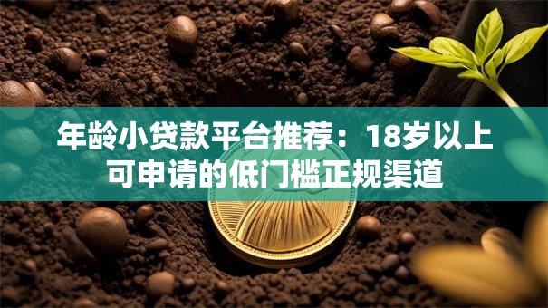 年龄小贷款平台推荐:18岁以上可申请的低门槛正规渠道 年龄小贷款平台推荐:18岁以上可申请的低门槛正规渠道