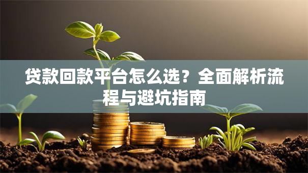 贷款回款平台怎么选？全面解析流程与避坑指南