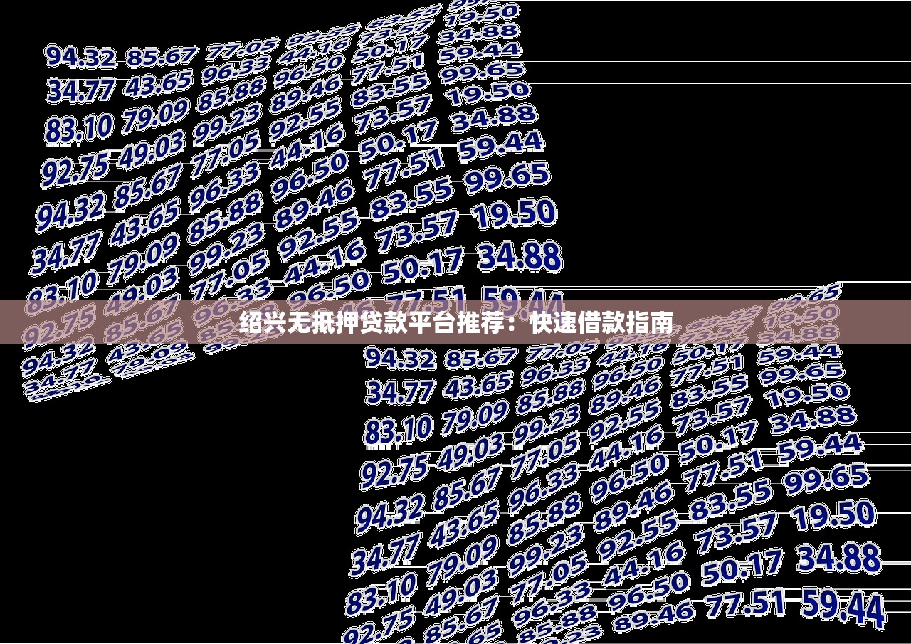 绍兴无抵押贷款平台推荐：快速借款指南