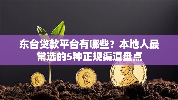 东台贷款平台有哪些？本地人最常选的5种正规渠道盘点