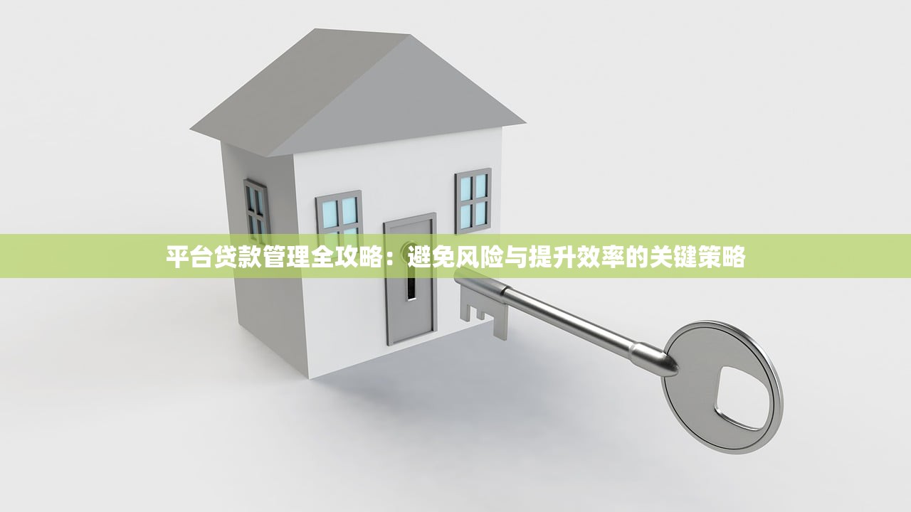 平台贷款管理全攻略:避免风险与提升效率的关键策略 平台贷款管理全攻略:避免风险与提升效率的关键策略