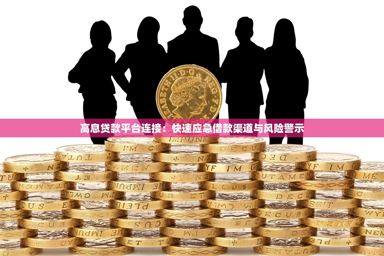 高息贷款平台连接：快速应急借款渠道与风险警示