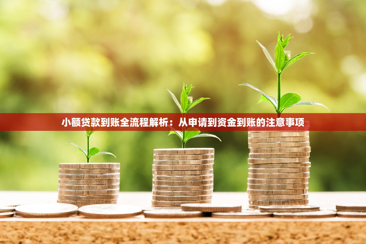 小额贷款到账全流程解析：从申请到资金到账的注意事项