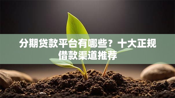 分期贷款平台有哪些？十大正规借款渠道推荐