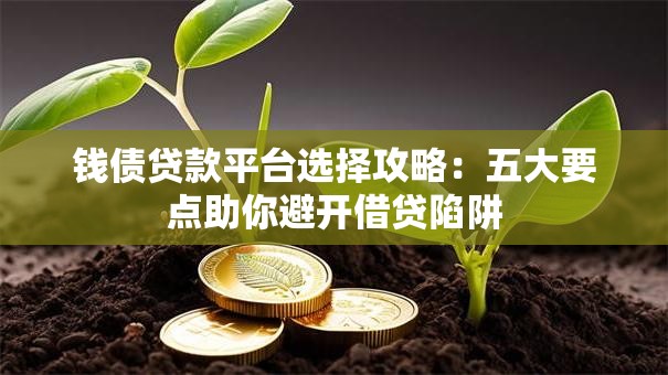 钱债贷款平台选择攻略：五大要点助你避开借贷陷阱
